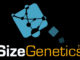 size genetics